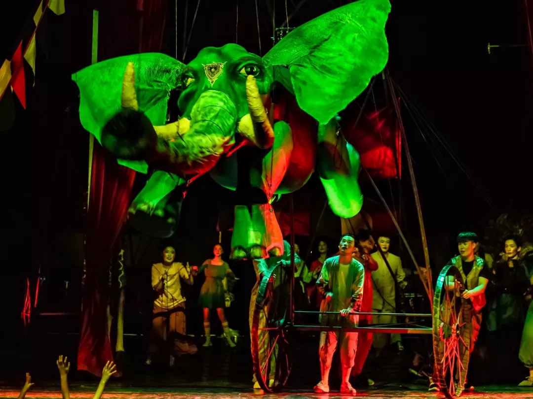 2020马戏塔拉蹦吧嘉兴站