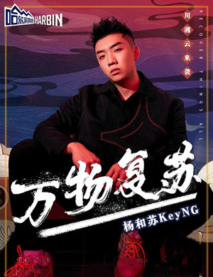 杨和苏昆明演唱会