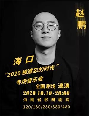 2020赵鹏海口演唱会