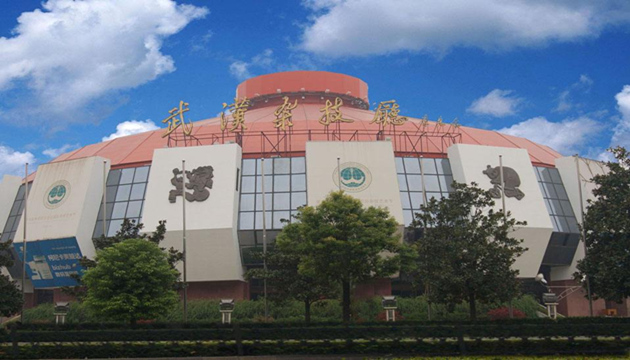 2020杂技大马戏武汉站