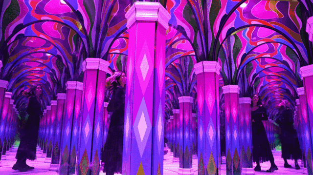 丽水梦幻巴比松星空体验馆