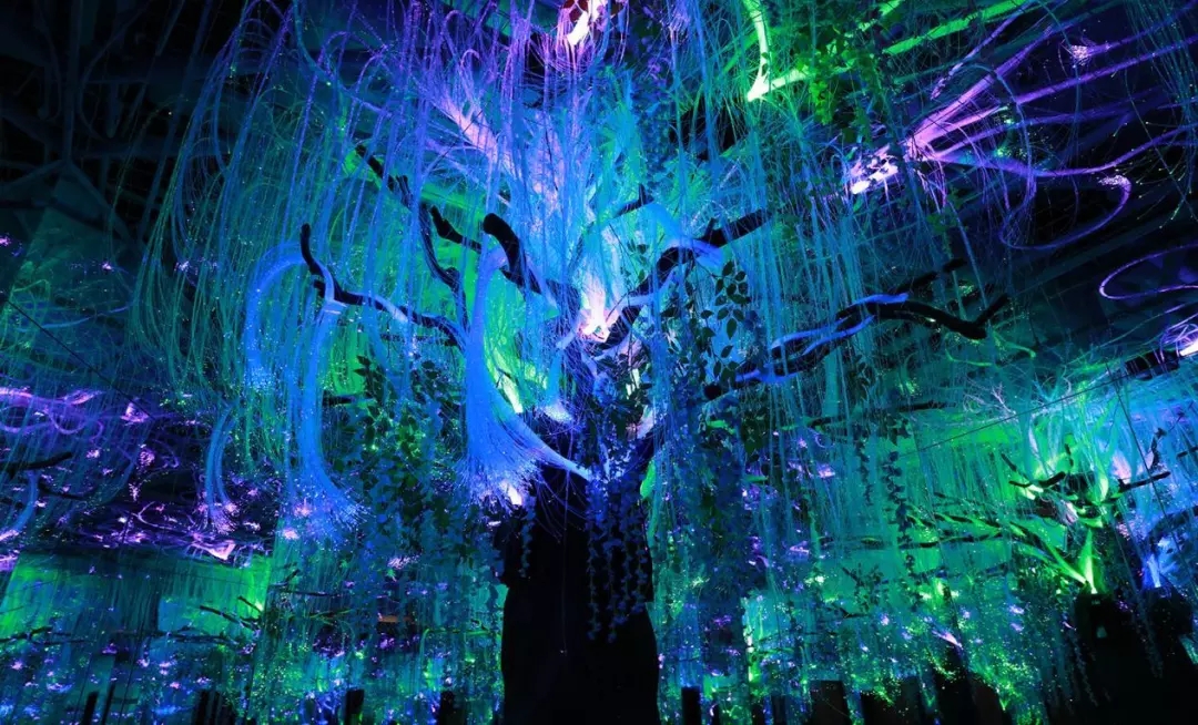 上海独角兽星空艺术馆