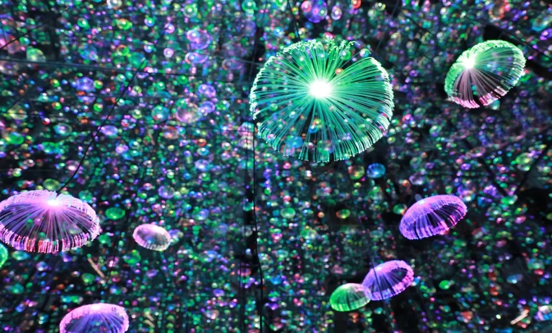 上海独角兽星空艺术馆