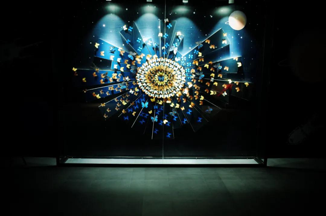 2020杭州虫生主题展