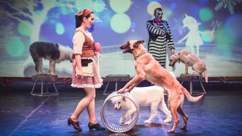 2020上海安徒生童话乐园奇妙之旅新马戏