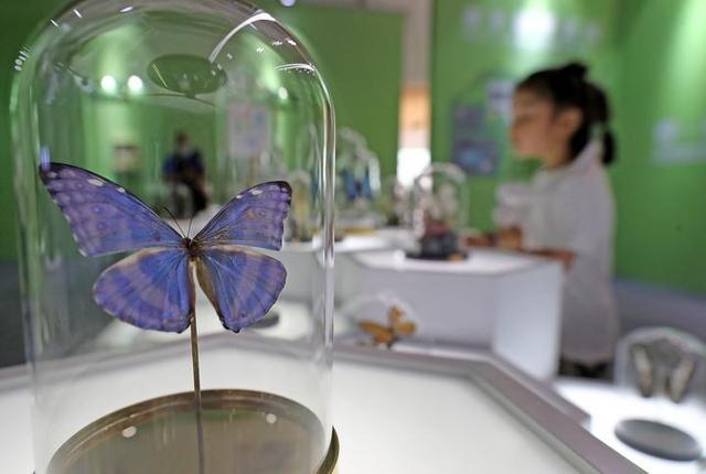 2020虫生杭州主题展