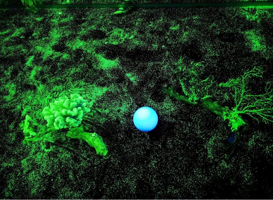 2020杭州国家地理深蓝展