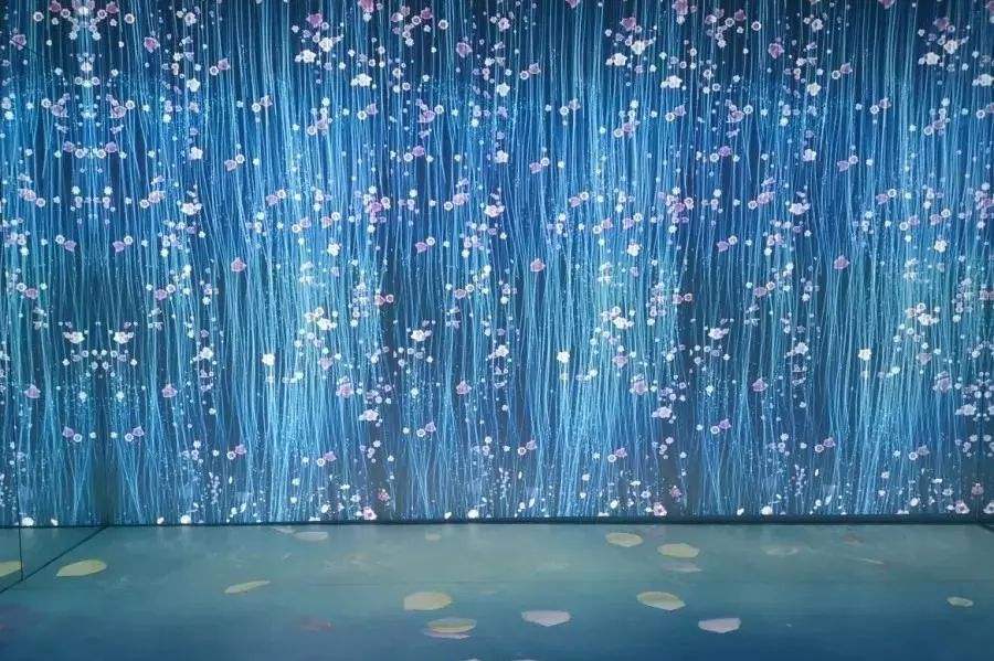 2020丽水梦幻巴比松星空体验馆