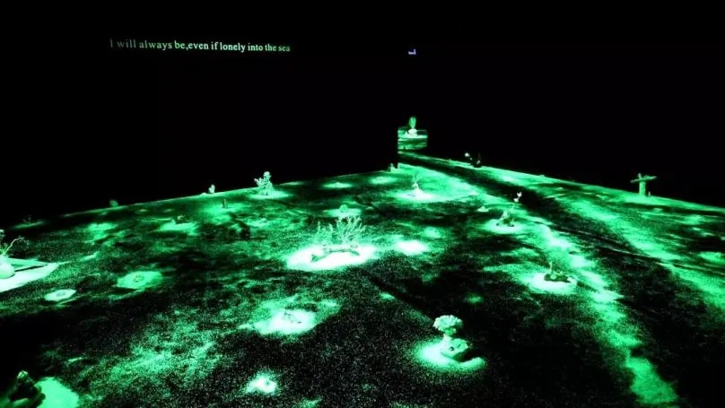 2020杭州国家地理深蓝展