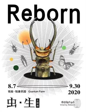 2020杭州虫生主题展
