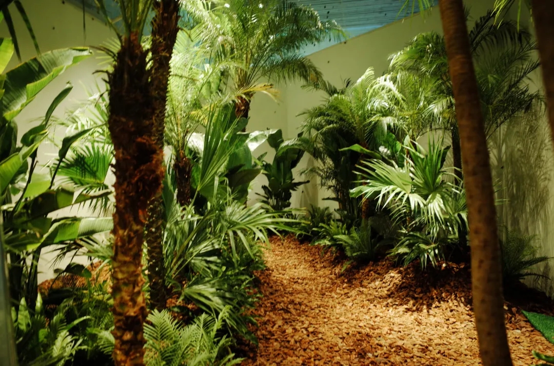 2020杭州虫生主题展