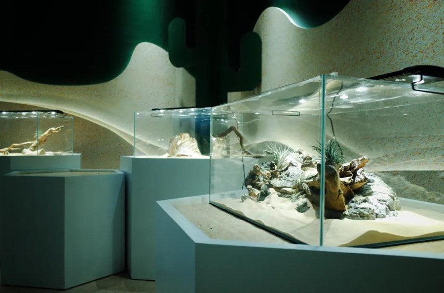 2020杭州虫生主题展