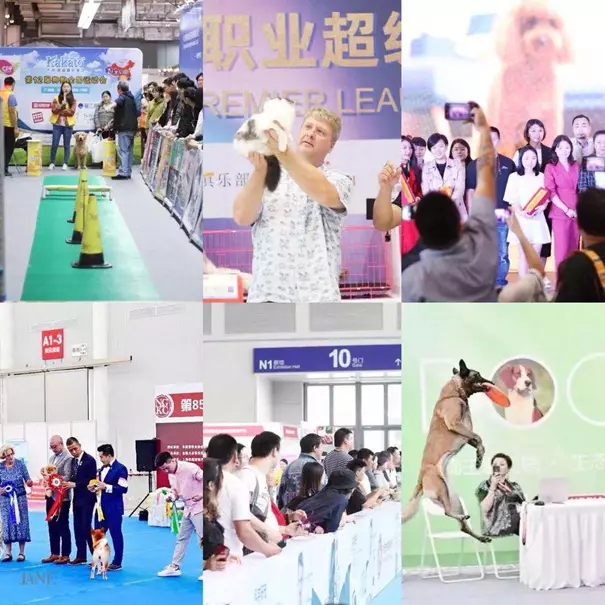 广州国际宠博会