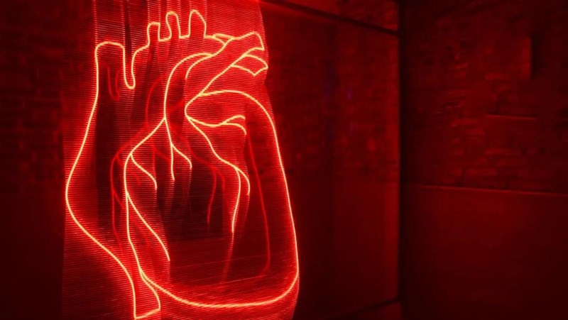 2020广州谎语园成年人说谎艺术展览