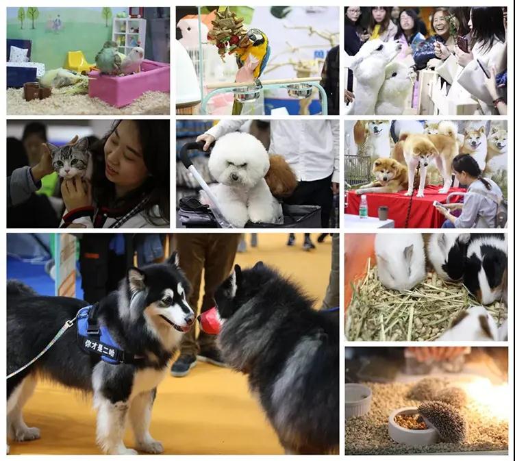 2020CPF广州国际宠博会