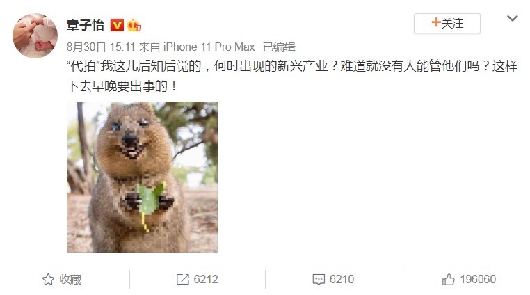 章子怡、林更新发文声援倪妮斥代拍者：迟早要出大事！