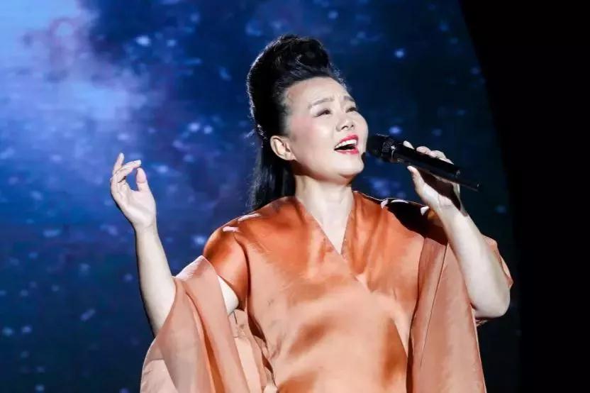 2020龚琳娜南京音乐会