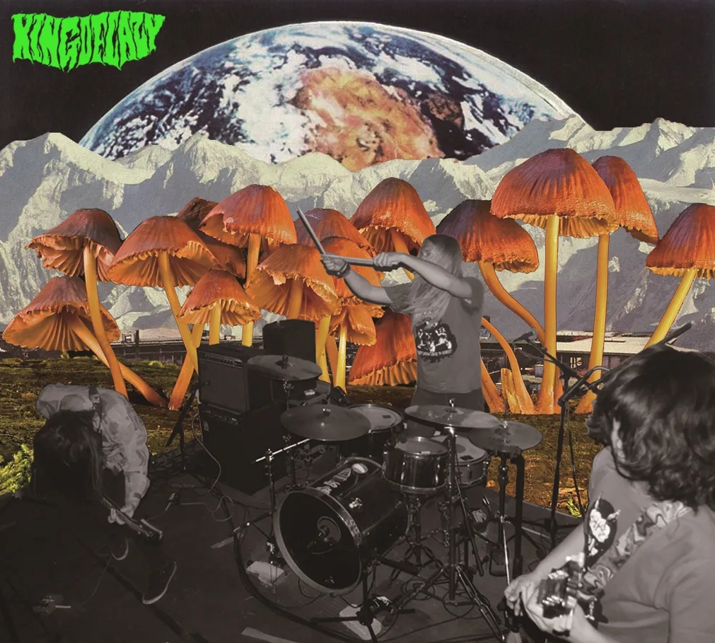 2020重庆野狗音乐节