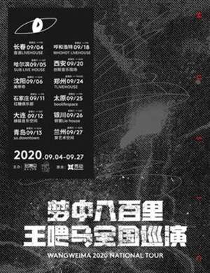 2020王喂马乐队郑州演唱会