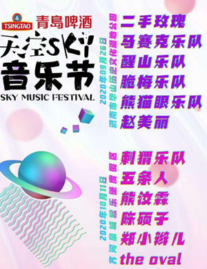 2020德州天空sky音乐节