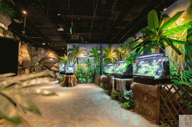 2020昆明MYZOO室内动物园