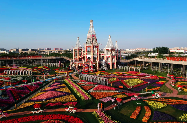 麦浪花园音乐季