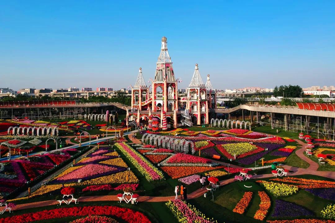 2020上海麦浪花园音乐季