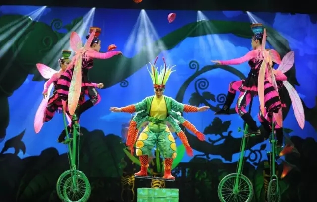 2020杂技剧《熊猫寻梦之旅》昆明站