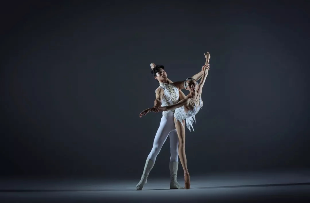 2020杂技剧《天鹅湖》郑州站