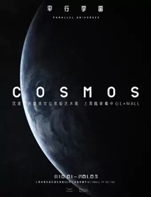 2020上海COSMOS平行宇宙