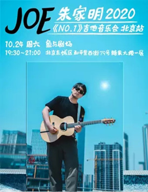 朱家明北京音乐会