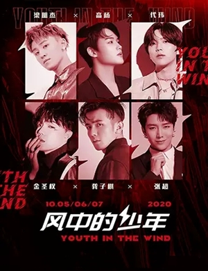 风中的少年苏州演唱会