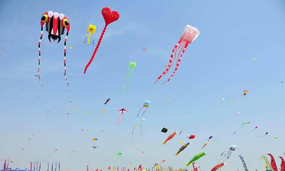 2022潍坊青柠艋音乐节（时间+地点+票价）