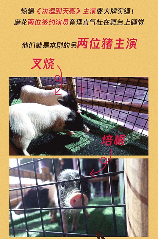 2020舞台剧《决逗到天亮》宿迁站