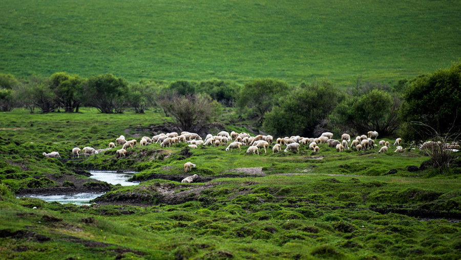 2020歌从草原来苏州音乐会