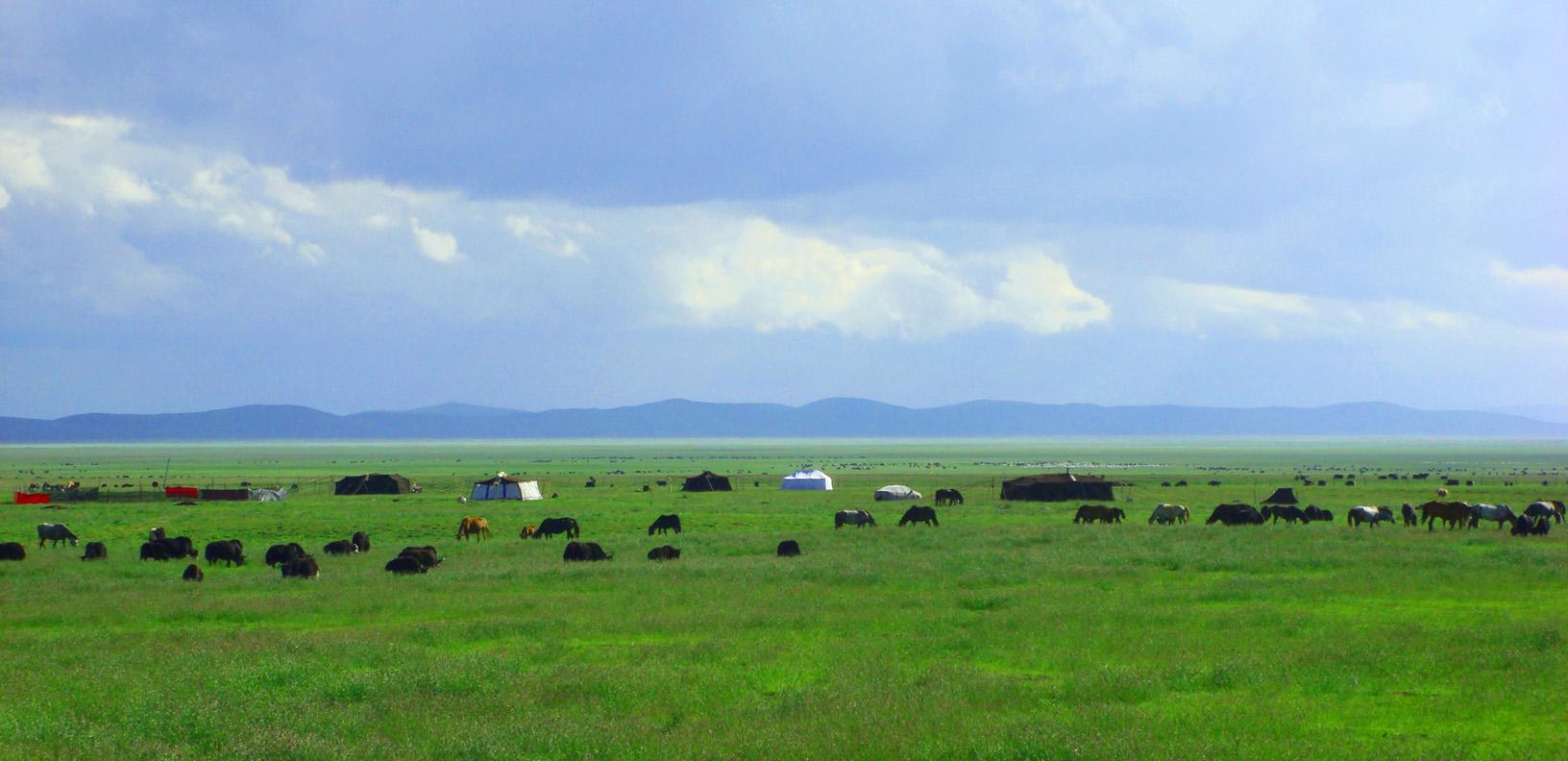 2020《歌从草原来》南通音乐会