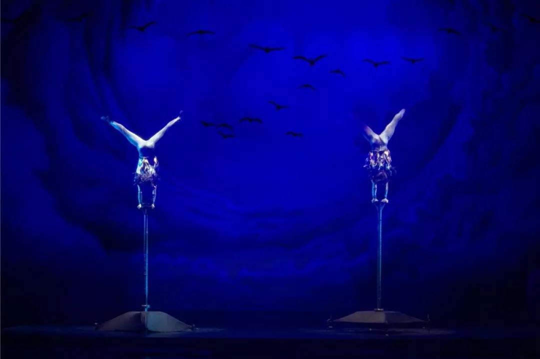 2020杂技剧《鸿雁》烟台站