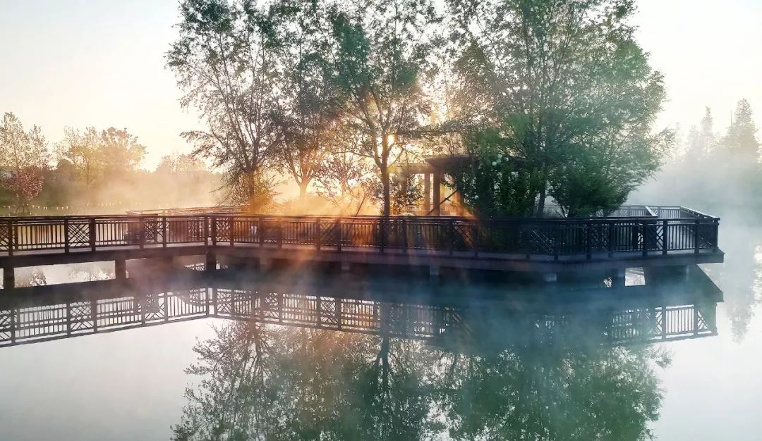 2023慈溪氧气森林音乐节（时间、场馆、门票详情）一览