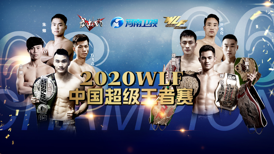 武林风中国超级王者统一战邓州站