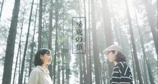 2021上海星巢音乐节时间、地点、订票网址 2021上海星巢音乐节时间、地点、订票网址