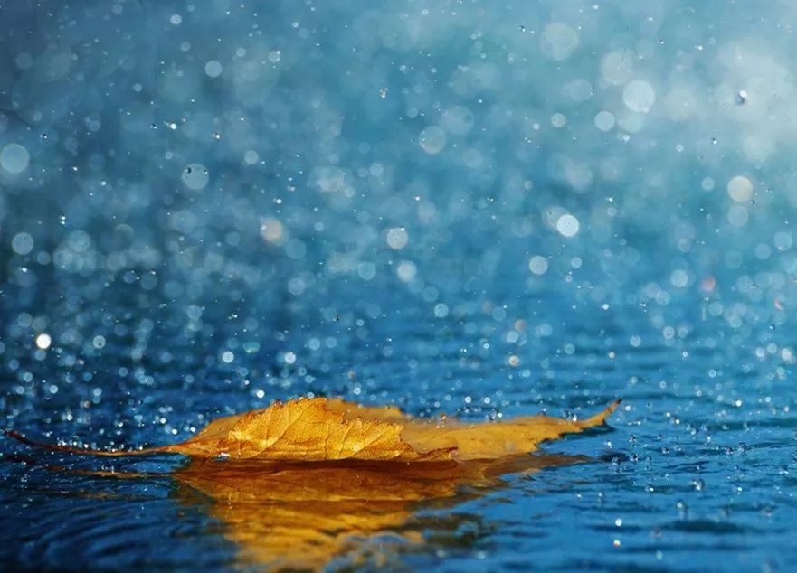 2023光棍节武汉演唱会时间、地点、订票链接