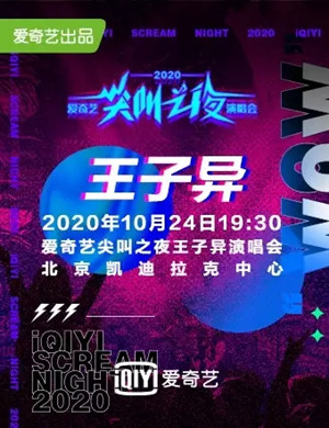 王子异北京演唱会