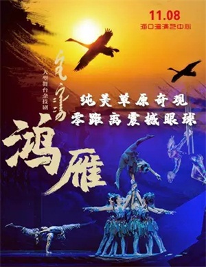 2020杂技剧《鸿雁》海口站