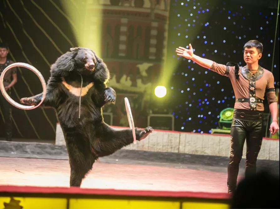 2020世界马戏联合汇演长沙站