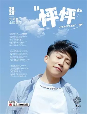 刘莱斯南宁演唱会