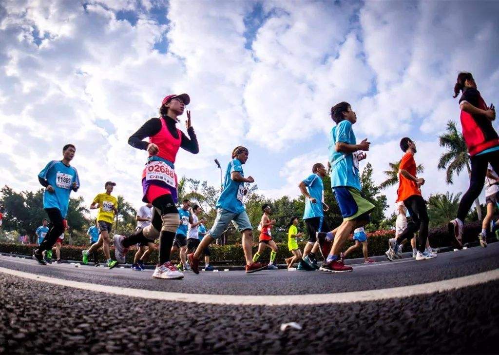 2020岳阳洞庭湿地音乐节