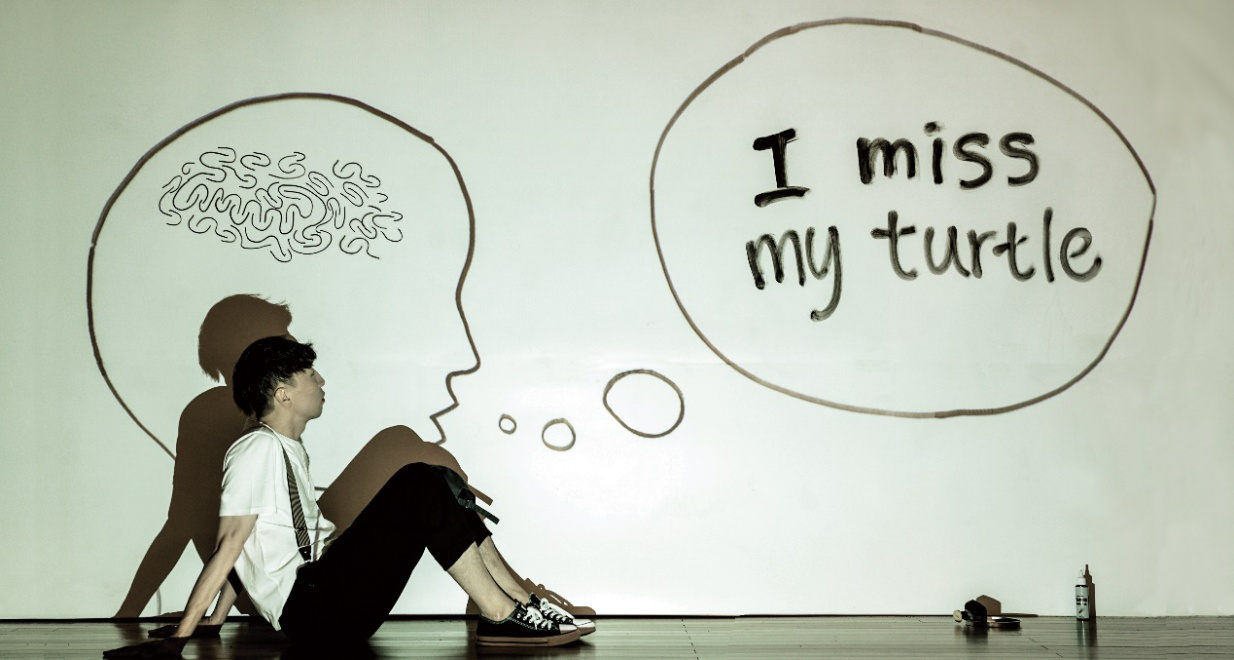 2021大船文化·韩国创意绘画亲子剧《嘟嘟泡泡·海龟别跑》中文版-上海站 2021大船文化·韩国创意绘画亲子剧《嘟嘟泡泡·海龟别跑》中文版-上海站