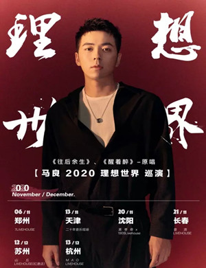 2020马良沈阳演唱会