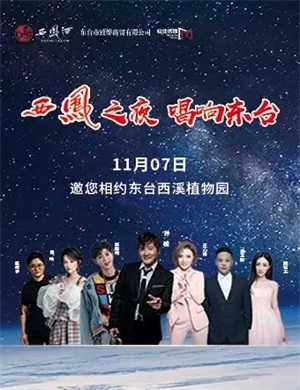 2020西凤之夜东台群星演唱会