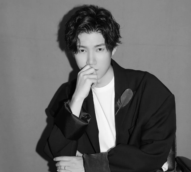 2020王晰佛山演唱会